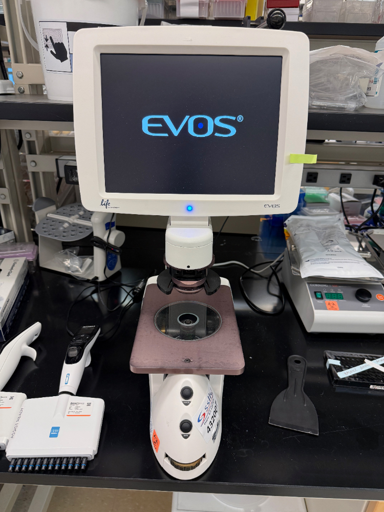 Image of Invitrogen EVOS XL Core Cell Imager